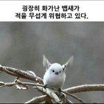 [EXO] ㅇ ㅏ <b>슈발</b>