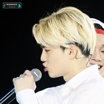 [EXO] 더 놀라운 사실은