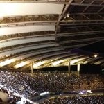<b>사스</b>가엑소엘