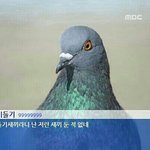[EXO] 아 ㅅㅂ 나 저런애 ㅈㄴ싫어