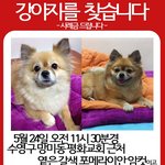 부산 <b>망미동</b> 근처에 사시는 분들 제발 눈여겨 봐주세요
