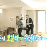 [EXO] 걍 다 정리하면