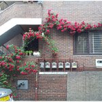 [<b>유익</b>한글] * 웃는 법을 배우면 *