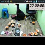 [EXO] <b>철구</b>방송