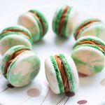 [마카롱] 마카롱성<b>애자</b>의 마카롱!