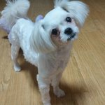 이제는 많이 큰 꼬미~ㅎㅎ