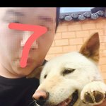 [개어이상실] <b>개</b>한테 술멕이는 개념없는페북;;