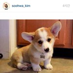 [백현] 몽룡이