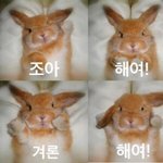 [댓글부탁해] 립색상이랑 볼<b>터치</b>색이랑 깔맞춤해야 이쁨?