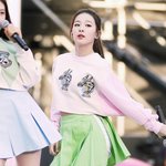 [레드벨벳] 와 레드벨벳 개미쳤다;;;;;;;;;;;