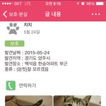 무료분양 합니다