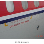 [<b>저승</b>사자] 북한 고려항공 비상 탈출방법 .. 잔인하다 ㅠㅠ