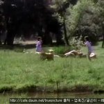 [뮤코바<b>c</b>] 환상특급21탄]행복