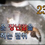 [<b>람</b>쥐] 23~25편 - 길고양이 <b>람</b>쥐의 4색조 외 2편