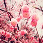 [모든팬덤] 아이돌 음반 중에 <b>명반</b>은 뭐인것같음