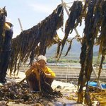 [예쁜머리] 도와주세요,,바다<b>미역</b>같은 머리