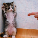 [EXO] <b>귀요밍</b>