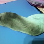 [댓글부탁해] 체육대회