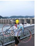 [후딱] 짚신도 <b>제짝</b>있는이유