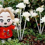 [EXO] 애들아 나<b>선택</b>장앤데
