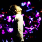 [카이] 카이 <b>베돈</b>크 프리뷰 + 추가