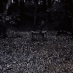 [exo] 우리<b>집</b><b>문</b><b>앞</b>에 누구있는거같음...어떡해소름돋아