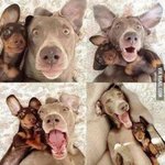 [댓글부탁해] 살면서 <b>민망</b>하거나 웃겼던 적