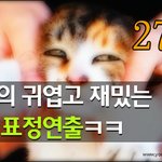 [<b>람</b>쥐] 27~28편 - <b>람</b>쥐의 표정연출 외~1편
