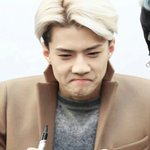 [EXO] 오늘 앨범3개랑 <b>베이</b>삐돌5명