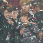 [비스트] 비스트 별로......