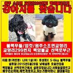 [댓글부탁] (강원도)한번만 읽어주세요 네티즌의 힘을 보고싶어요