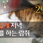 [<b>람</b>쥐] 29-30편 - 운치있게 저녁 식사를 하는 <b>람</b>쥐 외 1편