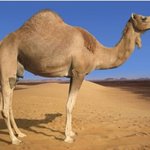 [EXO] 현재 최고의 개새끼.<b>jpg</b>