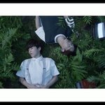[EXO] 김<b>형제</b>...시발.......아....미친...둘기.....