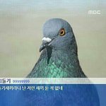 [EXO] 시발 진짜 장사<b>장</b> <b>이</b>새낀 어후