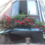 [힘이되는글] * 위대한 성공 뒤엔 위대한 실패가 있다 *