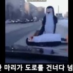 [모바일잡지] 펭귄 슬라이딩