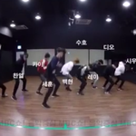 [EXO] 유출됐답니다ㅋㅋㅋ