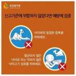 [댓글부탁해] 아 내일 낙타타고 학교 <b>갈라</b>했는데