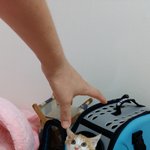 나의 동거인 '도칠이'    2편