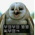 [모든팬덤] 카이vs<b>태민</b>