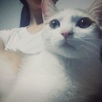 [모닝글로리] 사랑스런 모닝이와 로리 이야기2