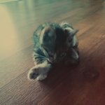 (+그 이후)기적처럼 살아난 기적이 이야기