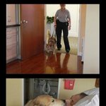 어느 <b>노숙</b>자의 마지막 소원