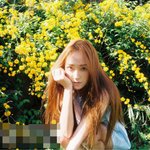 <b>제시</b>가 뉴 화보!