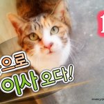 [람쥐] 1화 - 14층으로 이사 <b>오다</b>!_시즌2 