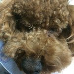 [꼭댓글부탁] 미용실 갔다온뒤로 눈을 못 떠요