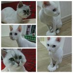 분양...어디가 좋을까요..ㅠㅠ