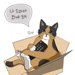 [고양이뚜껑] 고양이 웹툰 좋아하시는 분???