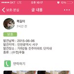 퍼트려 주세요 푸들 보호중..